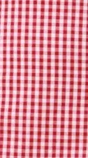 Jeane Skort - Red Gingham