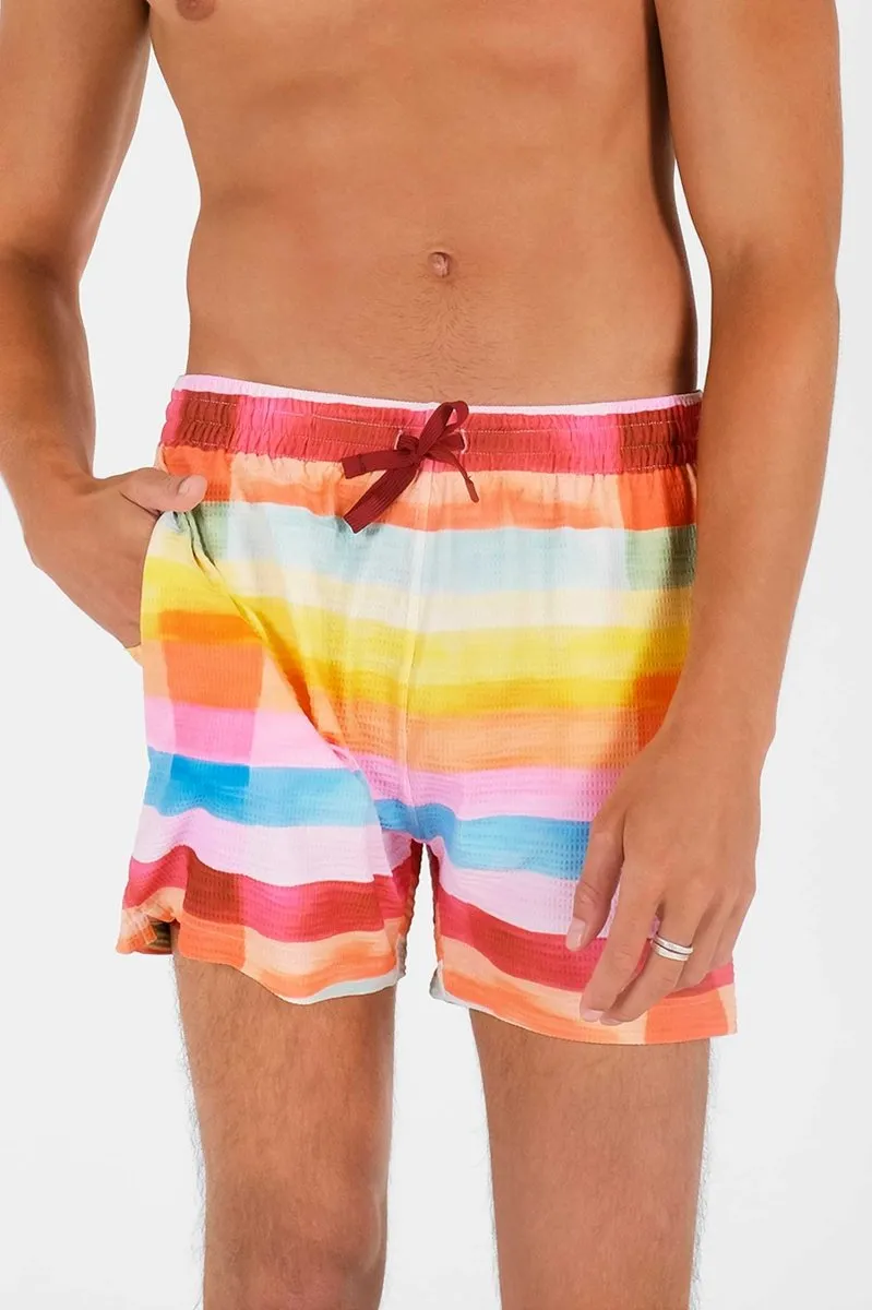 Men's Swim Shorts / Day Trippin' FINAL SALE