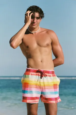 Men's Swim Shorts / Day Trippin' FINAL SALE