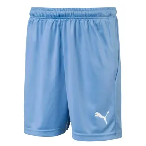 Puma - Kids’ (Junior) Liga Core Shorts (703437 18)