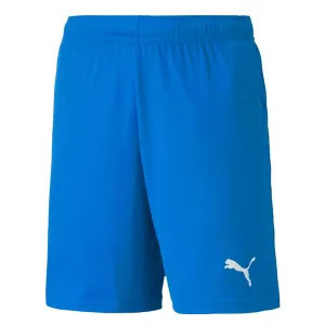 Puma - Kids’ (Junior) TeamGoal 23 Knit Shorts (704263 02)