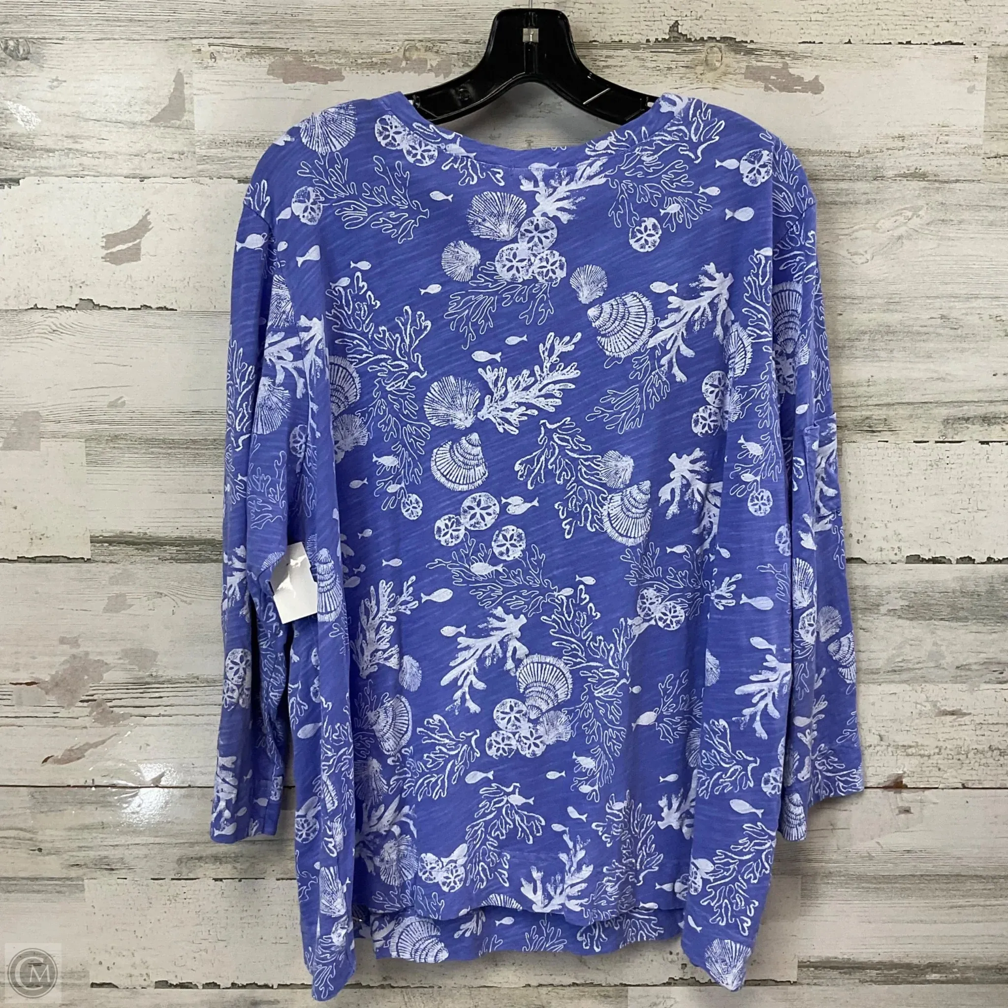 Top 3/4 Sleeve By Fresh Produce In Blue, Size: 2x